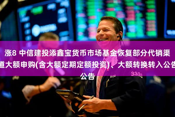涨8 中信建投添鑫宝货币市场基金恢复部分代销渠道大额申购(含大额定期定额投资)、大额转换转入公告