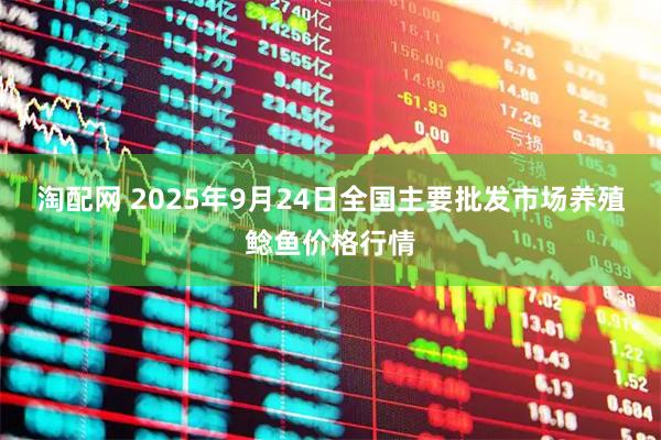 淘配网 2025年9月24日全国主要批发市场养殖鲶鱼价格行情