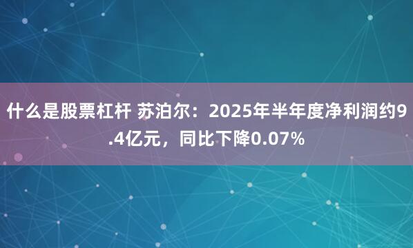 什么是股票杠杆 苏泊尔:2025年半年度净利润约9.4亿元,同比下降0.07%