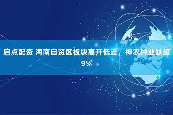 启点配资 海南自贸区板块高开低走，神农种业跌超9%